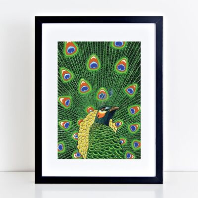 Pfau Kunstdruck