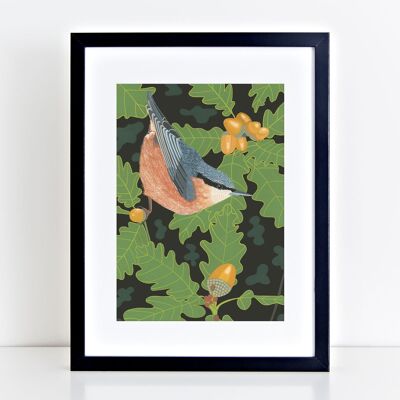 Nuthatch Art Print