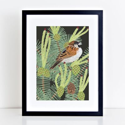 Sparrow Art Print