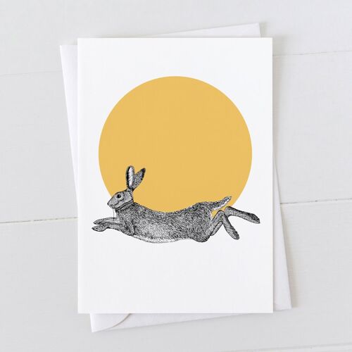 Hare Spot Card