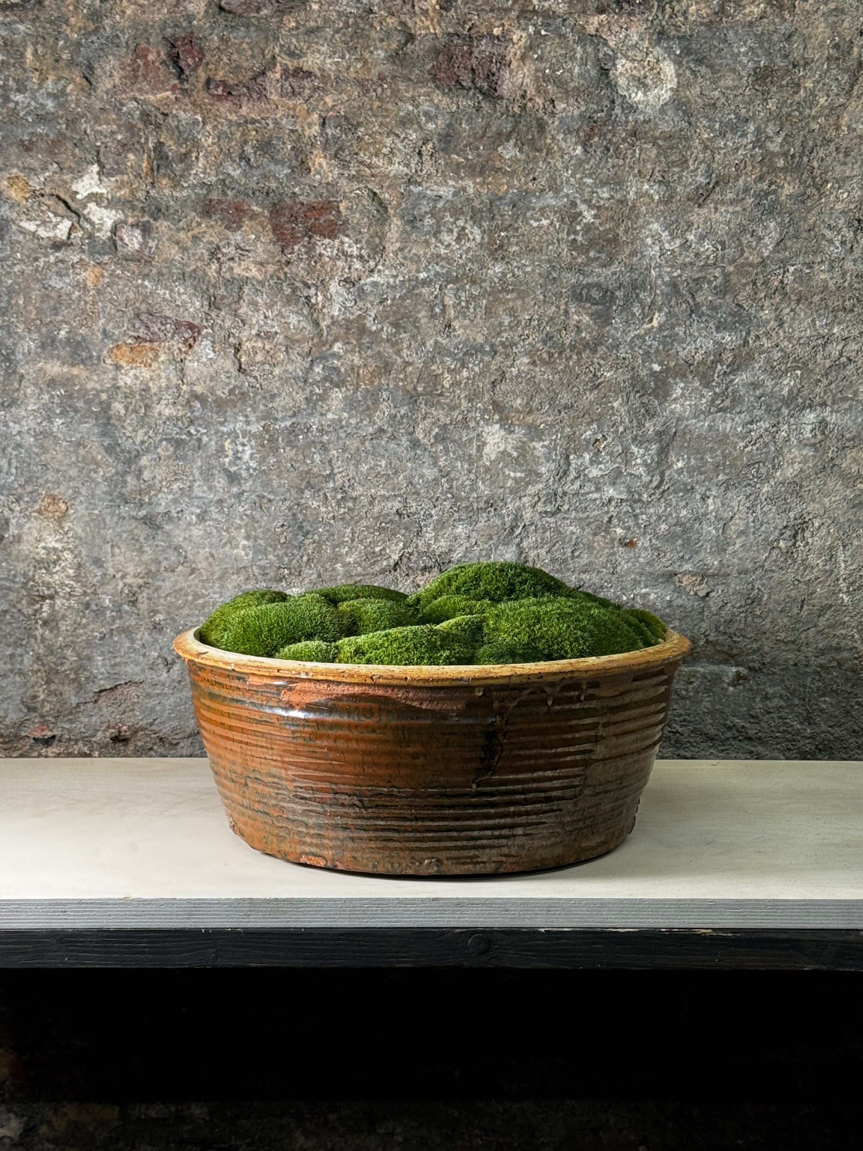 Bol en céramique vintage avec mousse FR11