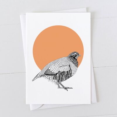 Partridge Spot Card