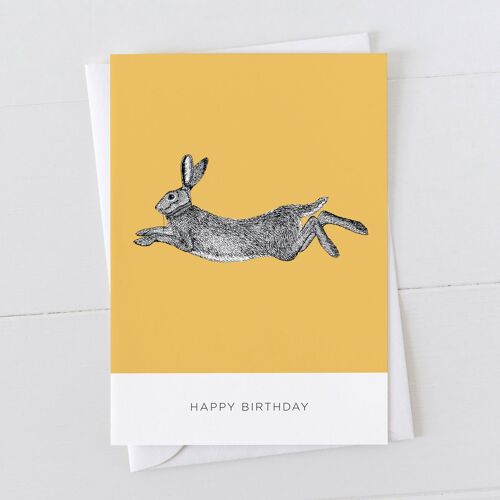 Hare Happy Birthday Card