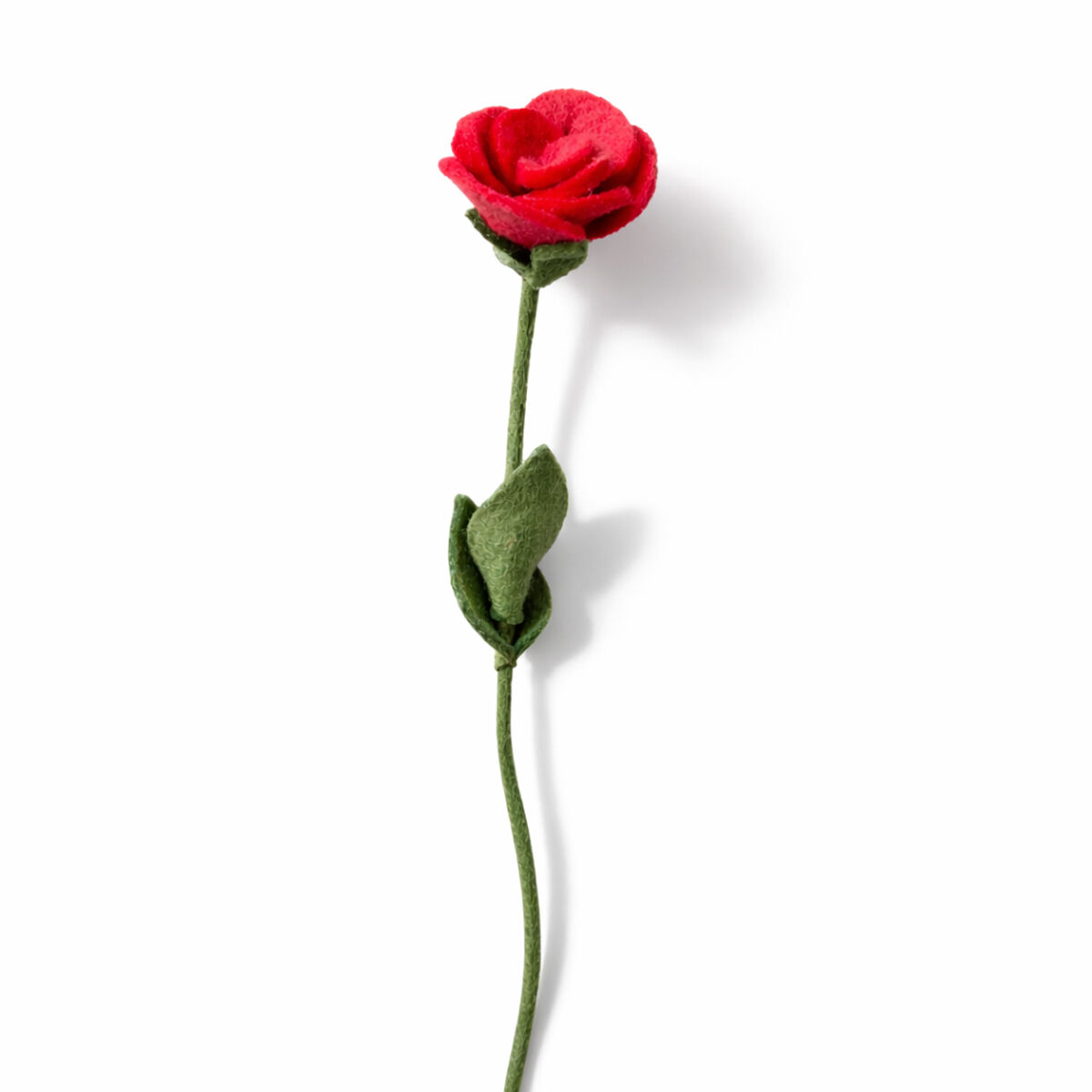 Rosa Rubin (5E-ROSE-RUBY)