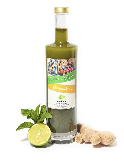 Base à Mojito – Viva Mojito GINGEMBRE 35 cl