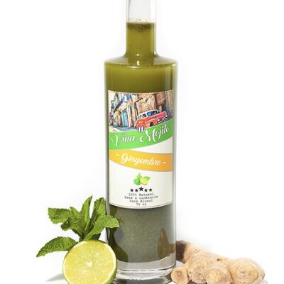 Base à Mojito – Viva Mojito GINGEMBRE 35 cl