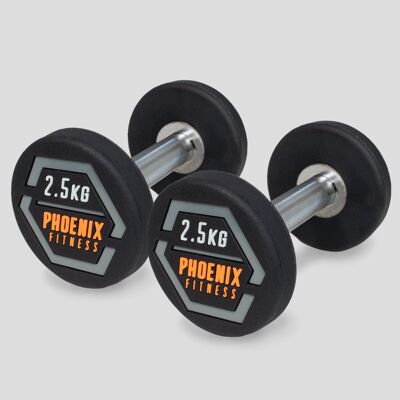 PAREJA 2.5KG DUMBBELL RY1407-QTY2