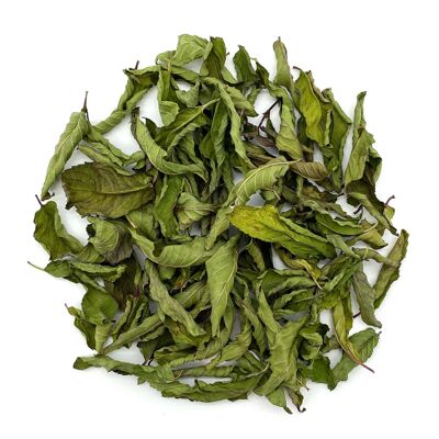 Peppermint tea - 30g for 20 cups