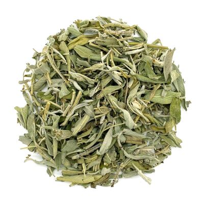Sage tea - 30g for 22 cups