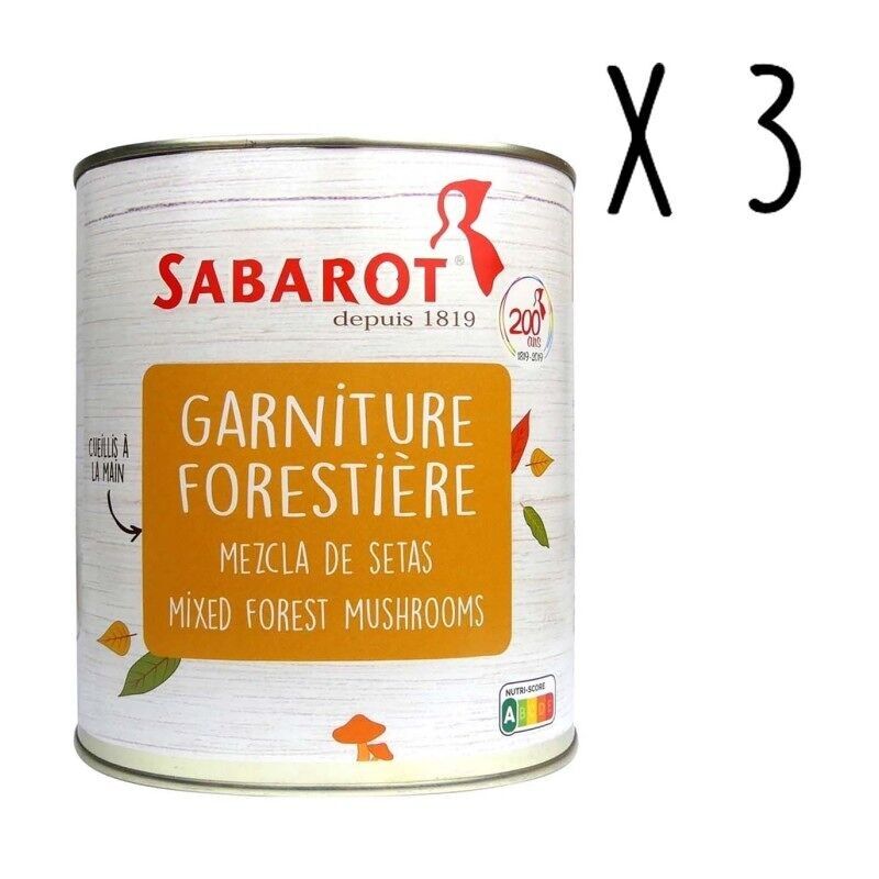 Guarnizione forestale in scatola - 3 Scatole da 1.375 kg - Sabarot