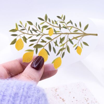 Toppa termoadesiva con ramo di limone con immagine di limone - camicia regalo per decorare lime estivo