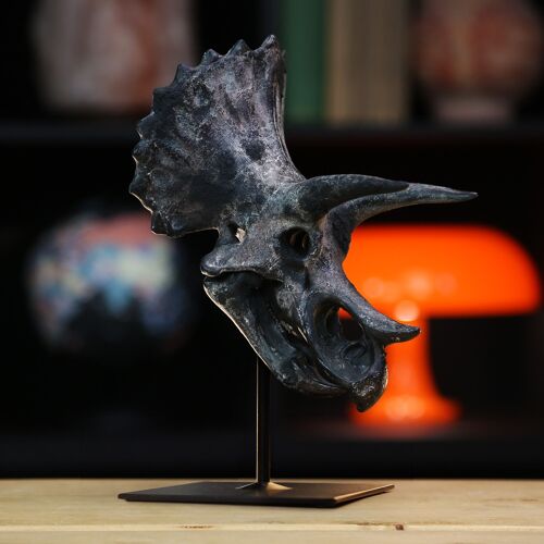 Triceratops Skull Painted Statue - Dinosaurs, Gifts For Him, Hand Painted and Made in Britain
