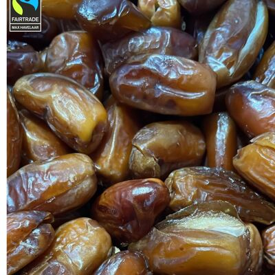 Fairtrade Deglet Nour dates – pitted