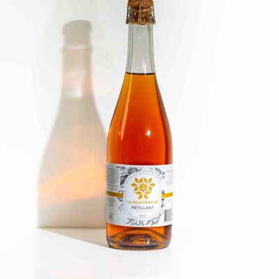 Sparkling cider apple juice 75cl