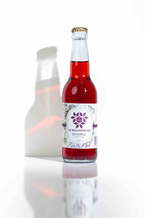Schorle Pomme à cidre et Cassis BIO 33cl