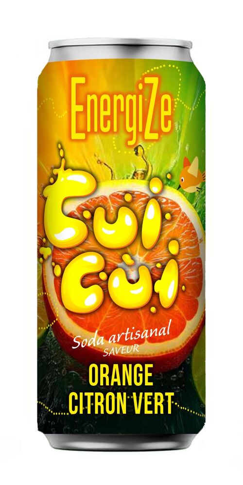 Boisson énergisante ENERGIZE ORANGE / CITRON VERT