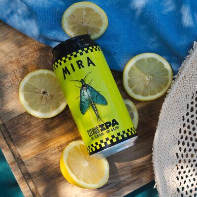 Bière CITRUS IPA