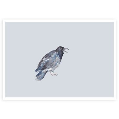 Raven | Postcard | Greeting | Birthday