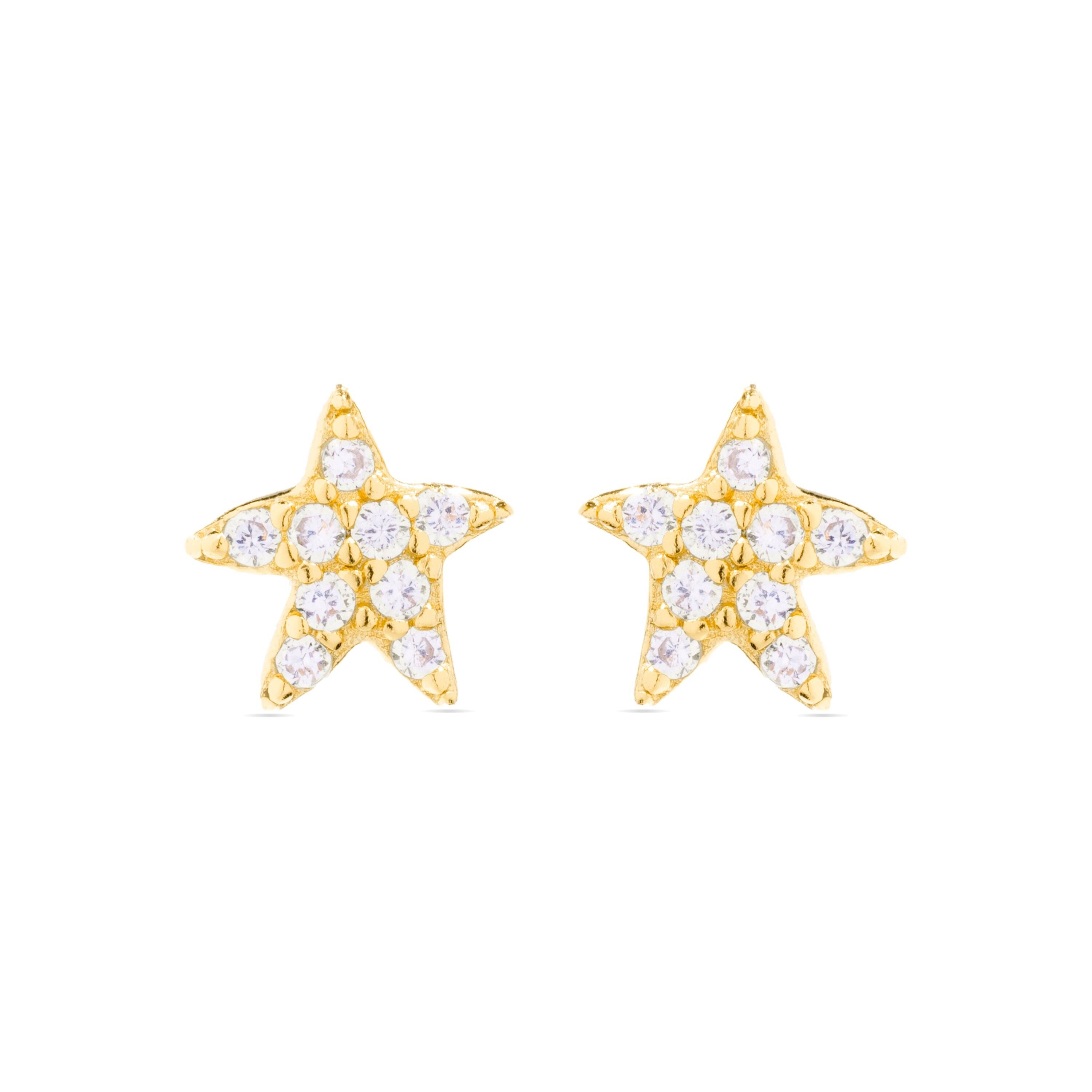 Orecchini in argento sterling 925 e zirconi lucenti rifiniti in oro giallo 18 carati - Stella