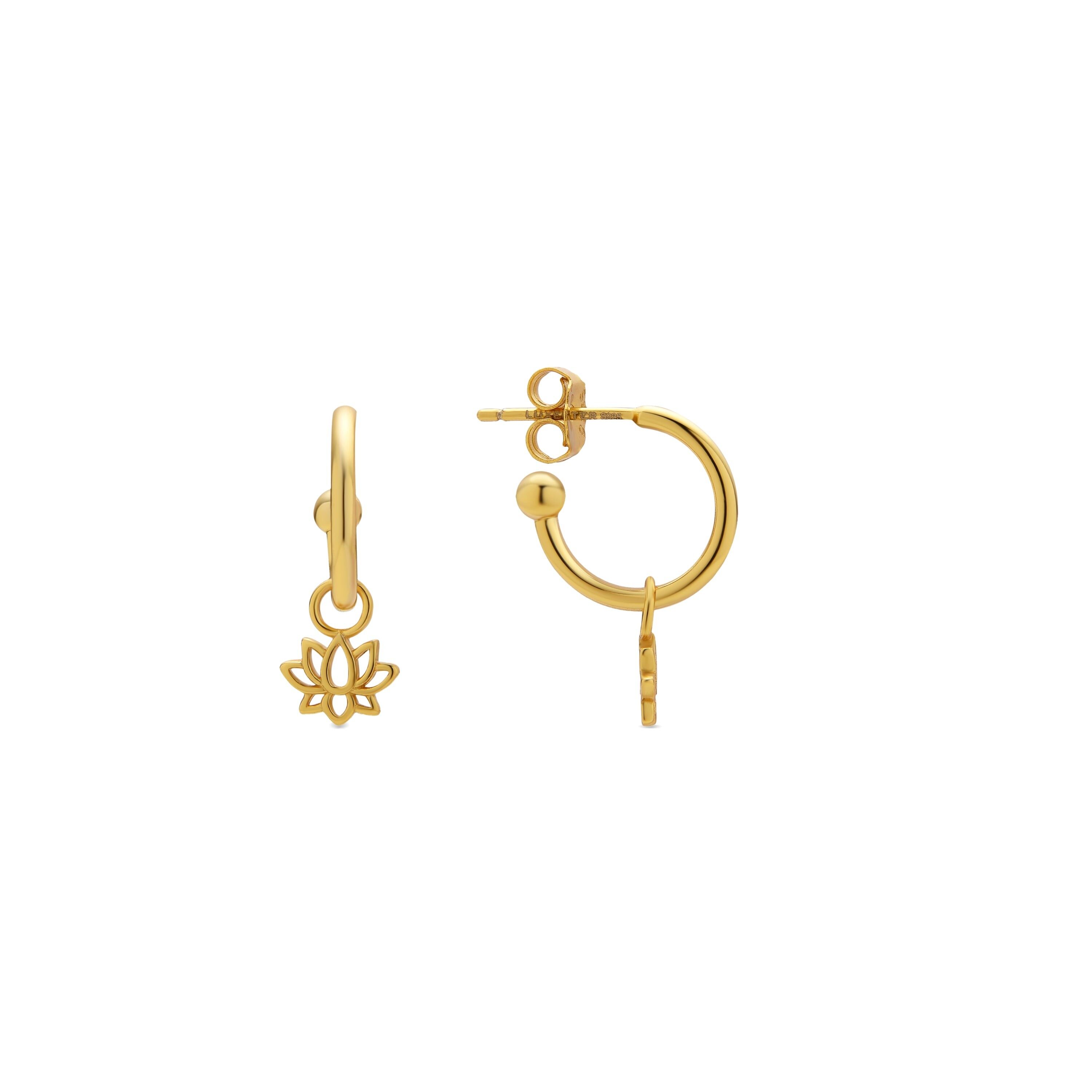 Ohrringe aus 925er-Sterlingsilber, 18-Karat-Gold-Finish – Fholie