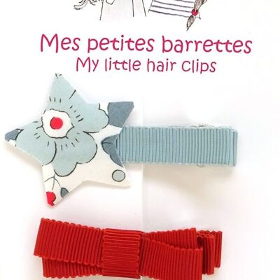 Ensemble 4 Barrettes E10