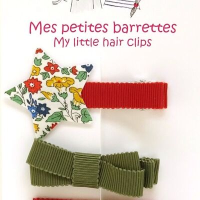 Ensemble 4 Barrettes E2