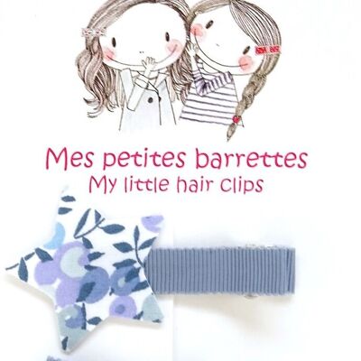 Ensemble 2 Barrettes E28