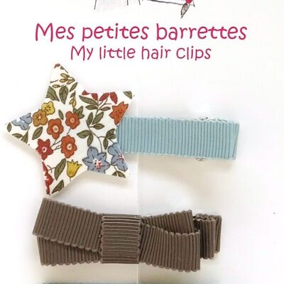 Ensemble 4 Barrettes E3