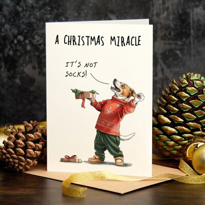 Tarjeta navideña de Miracle Socks: tarjeta festiva