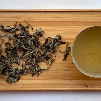 White tea - White Shangri La ／ Nepal