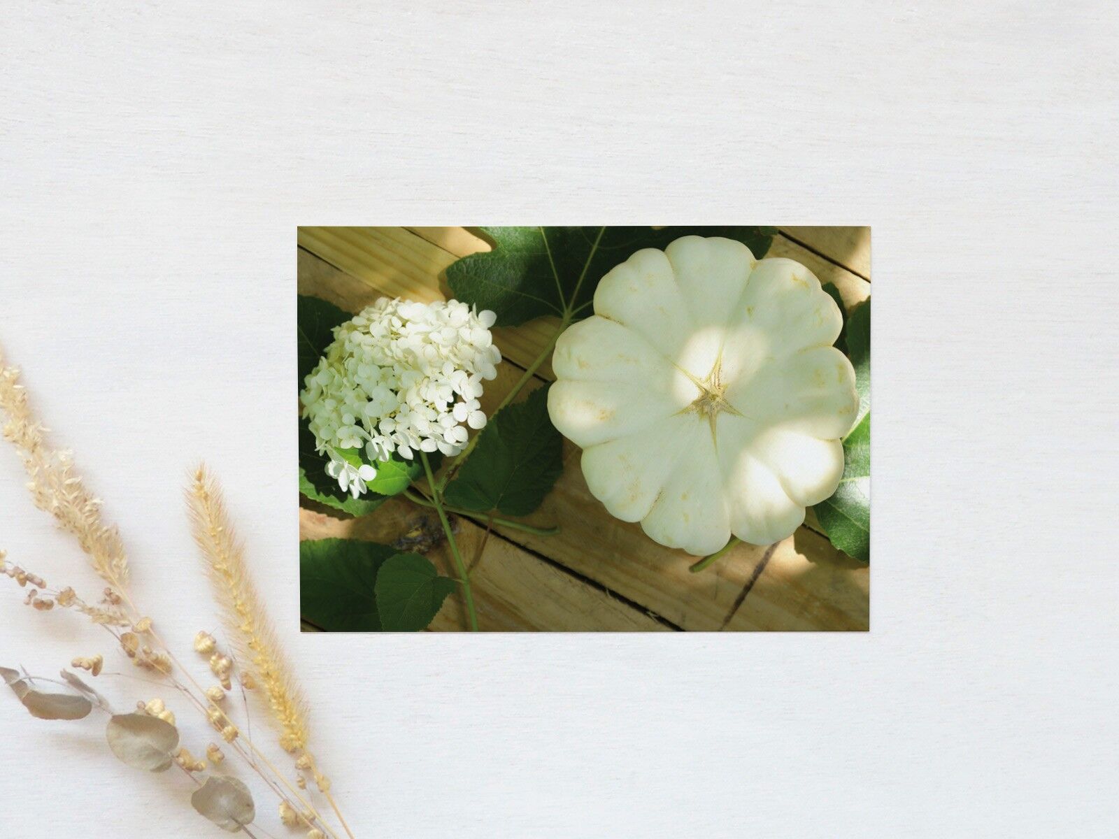 Postal con fotografía: Calabaza blanca • floral y otoñal (sobre incluido)