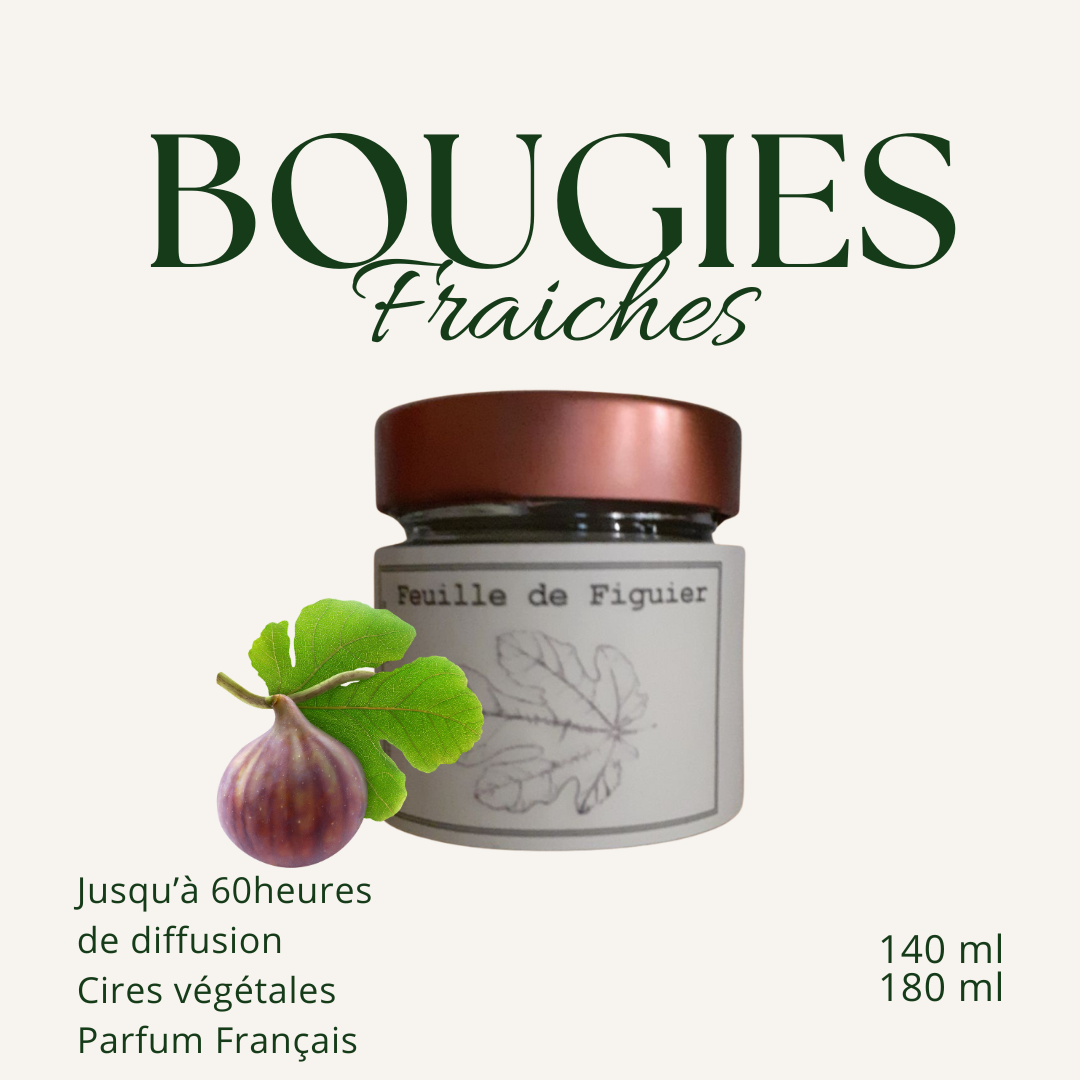 Soy and rapeseed wax candle - Fig Leaf - 180gr