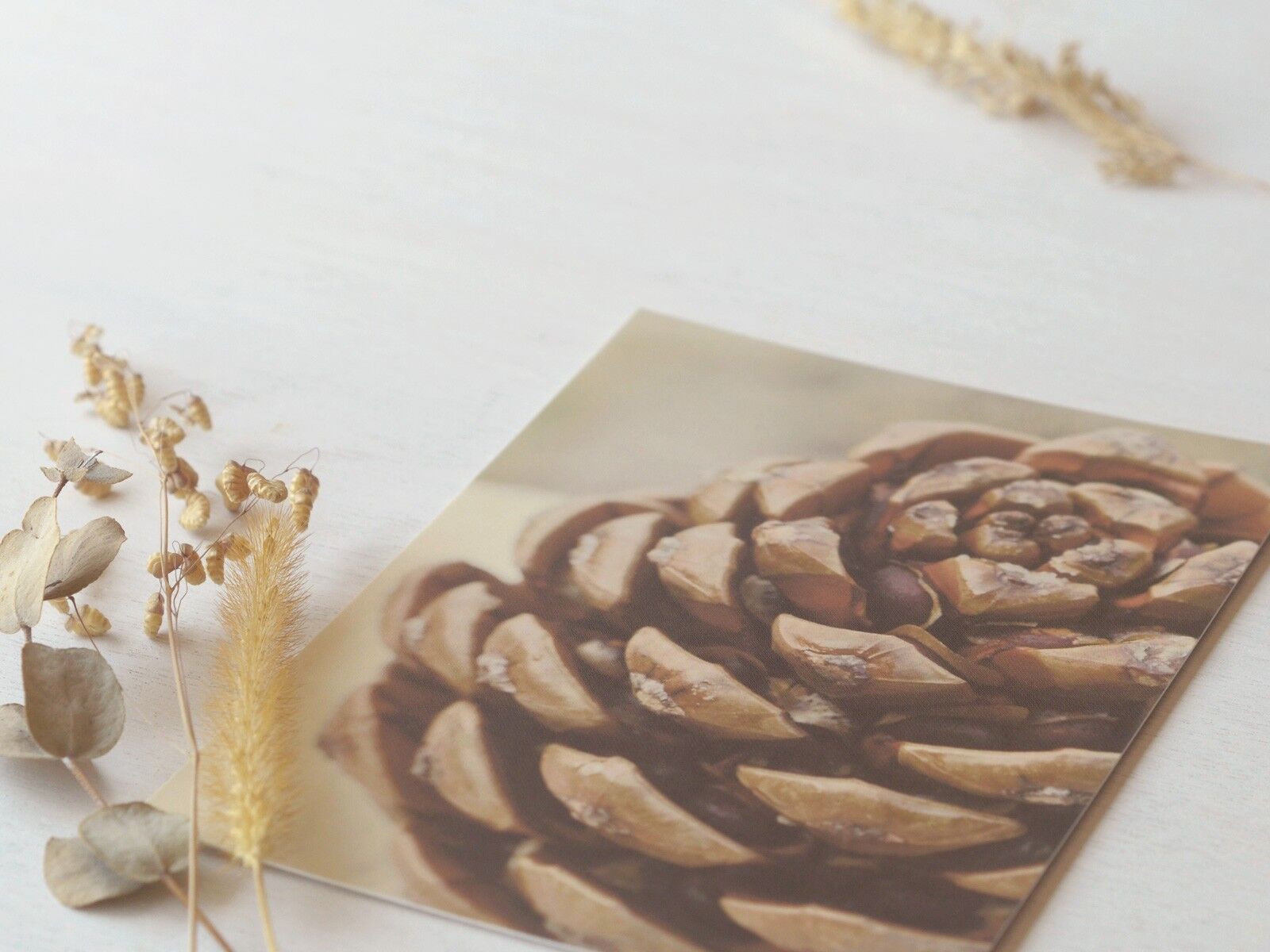 Postal fotográfica: Piña • marítima y natural (sobre incluido)