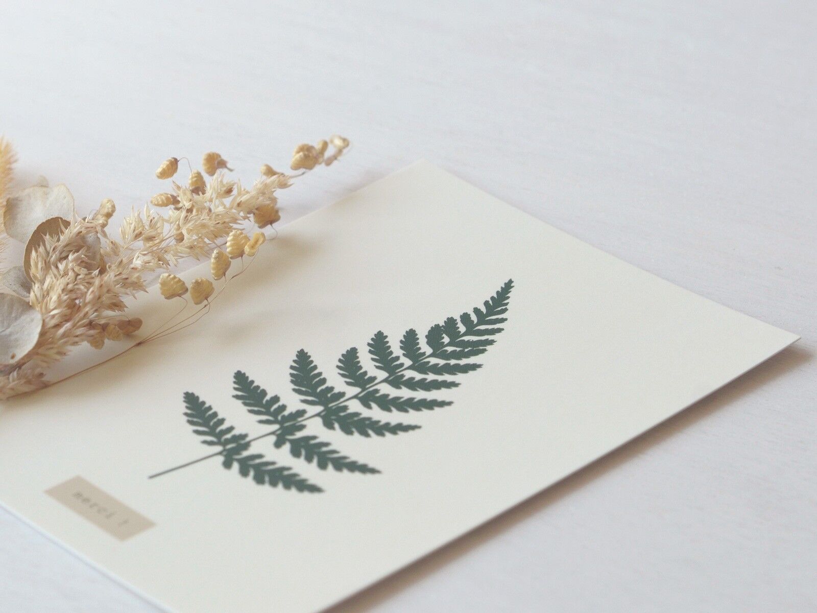 Biglietto d'auguri "Grazie Fougère" • Finitura opaca premium (busta inclusa)