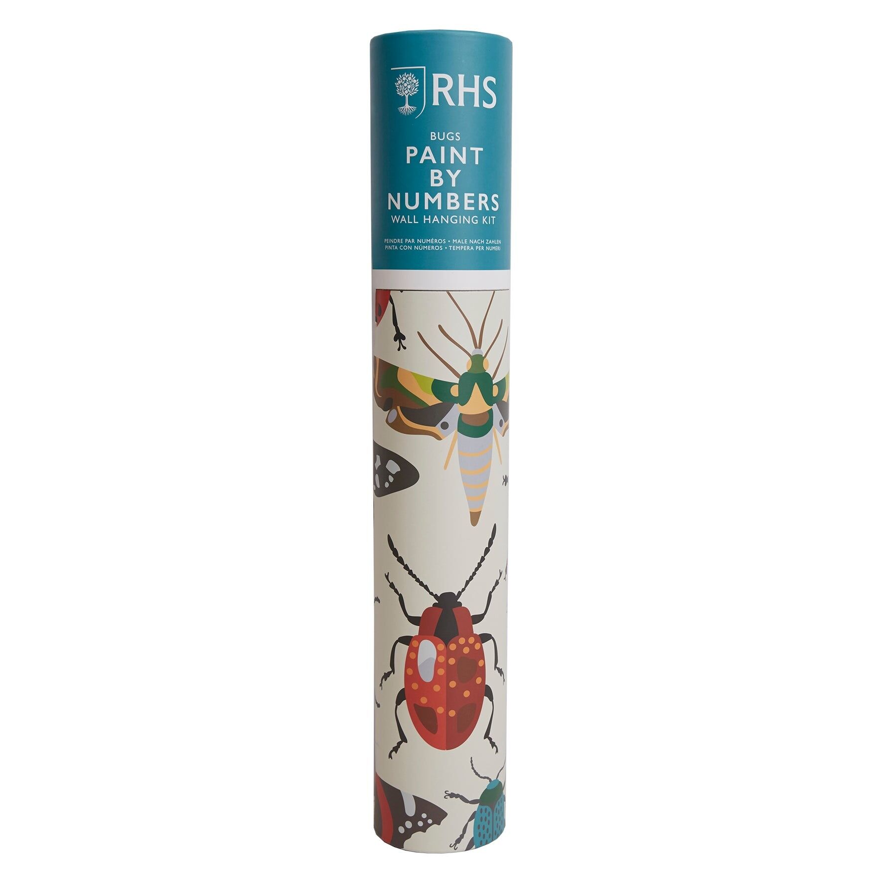RHS The Royal Horticultural Society Paint By Numbers Hanging Kit With 24 Paints & 3 Brushes, Bug Study Design, 400 x 500 mm, Multicoloured, Learn To Paint For Adults