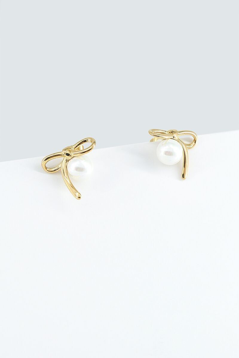 Orecchini in acciaio inossidabile 124AQ279