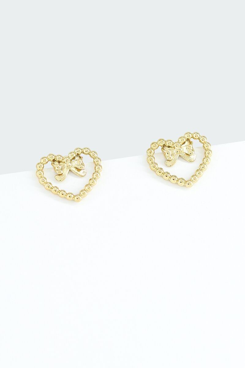 Orecchini in acciaio inossidabile 124AQ278