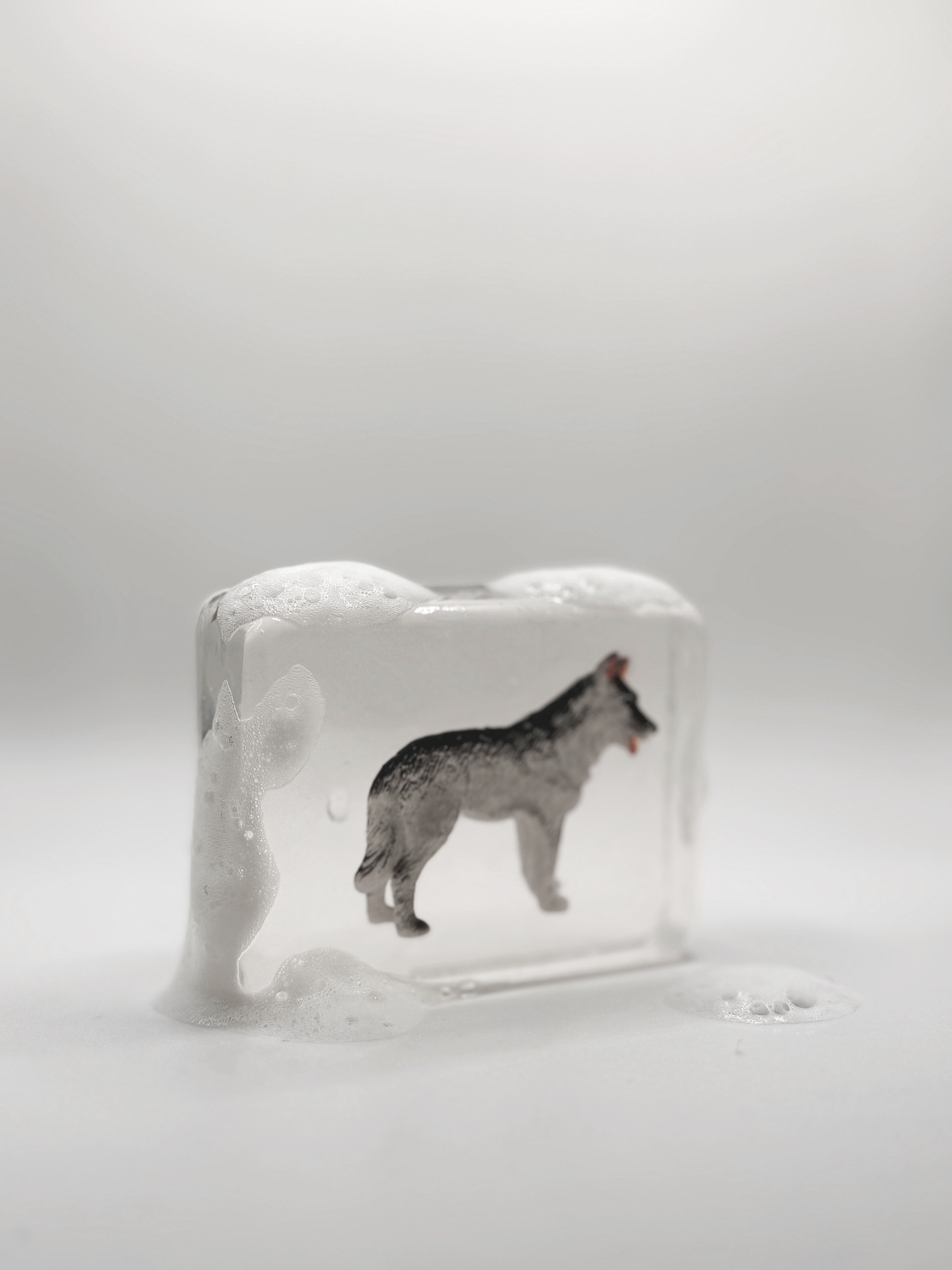 Sapone trasparente fatto a mano con statuetta di cane da neve