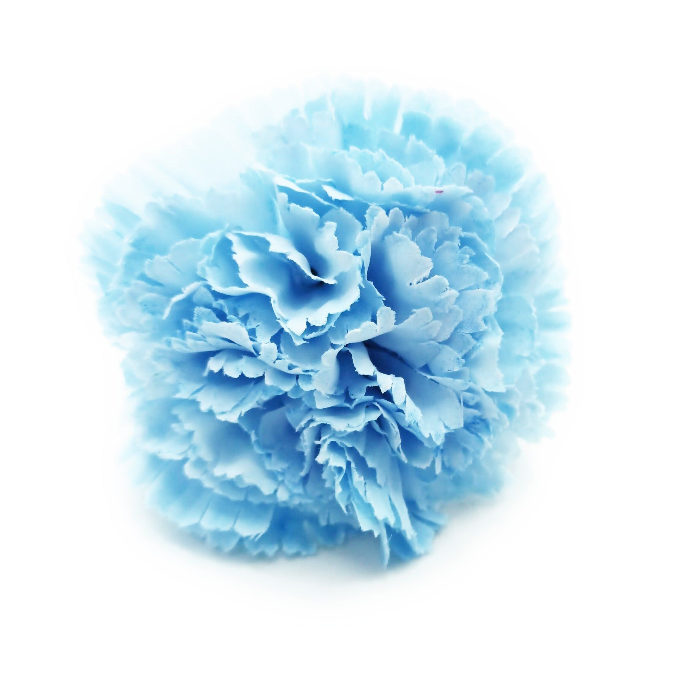 Flamenco Garofano Fiore Capelli Ø9cm Azzurro