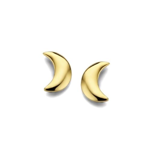 14K Yellow gold earrings moon