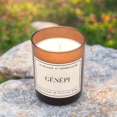 Génépi Scented Candle - Amber Glass, Rapeseed Wax & Grasse Fragrance - 180g - Handmade