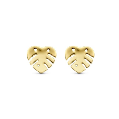 14K yellow gold earrings leaf