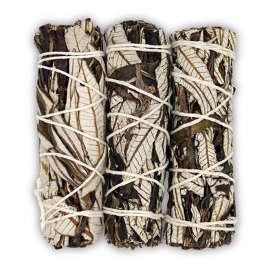 Yerba Santa incense bundle