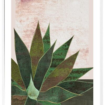 Affiche Agave - 50x70cm
