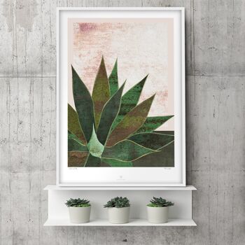 Affiche Agave - 50x70cm 4