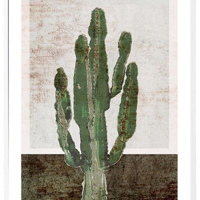 Affiche Euphorbia Trigon - 50x70cm