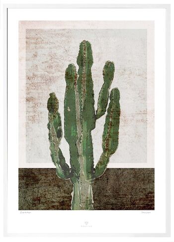 Affiche Euphorbia Trigon - 50x70cm 1