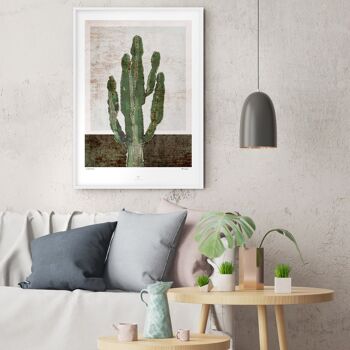 Affiche Euphorbia Trigon - 50x70cm 2