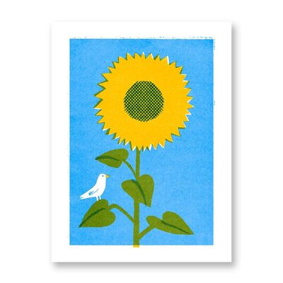 La colomba et le girasole - Affiche d'art