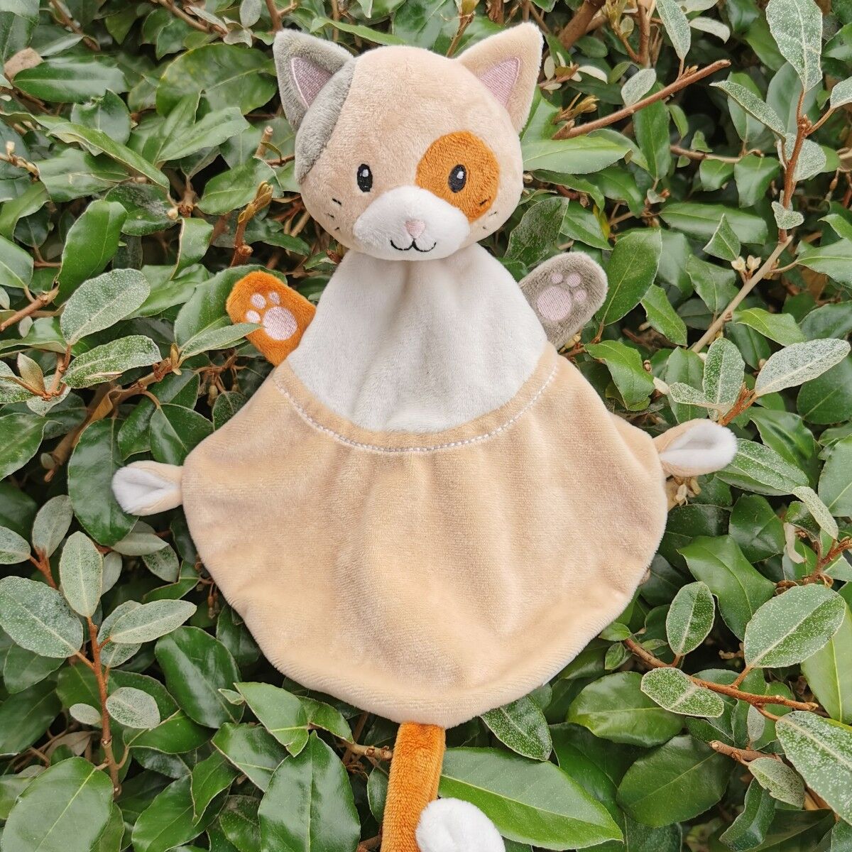 Doudou Charly il gatto